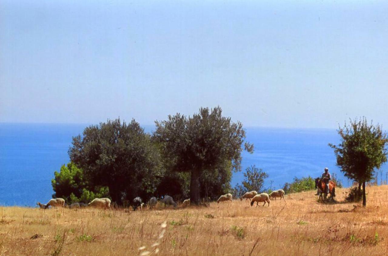 Grassetti Montegiordano Exterior foto
